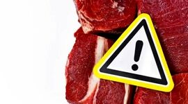 اگر گوشت قرمز زیاد می‌خورید برای زنده ‌ماندن این مطلب را بخوانید؟

