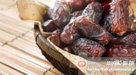 آیا خرما برای پروستات مفید است؟ واقعیت پشت شایعات داغ