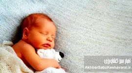 کاهش نگران‌کننده نرخ تولد؛ آمار تولدها برای نخستین‌بار به زیر یک میلیون رسید