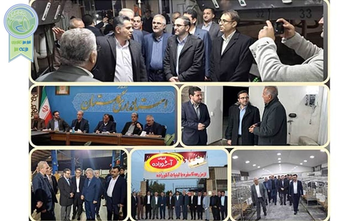 بازدید مدیرعامل بانک کشاورزی از دو مجتمع دام و طیور در گلستان

