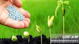 سه امضا برای نجات کشاورزی؟ یا سه مُهر دیگر بر کاغذهای تکراری