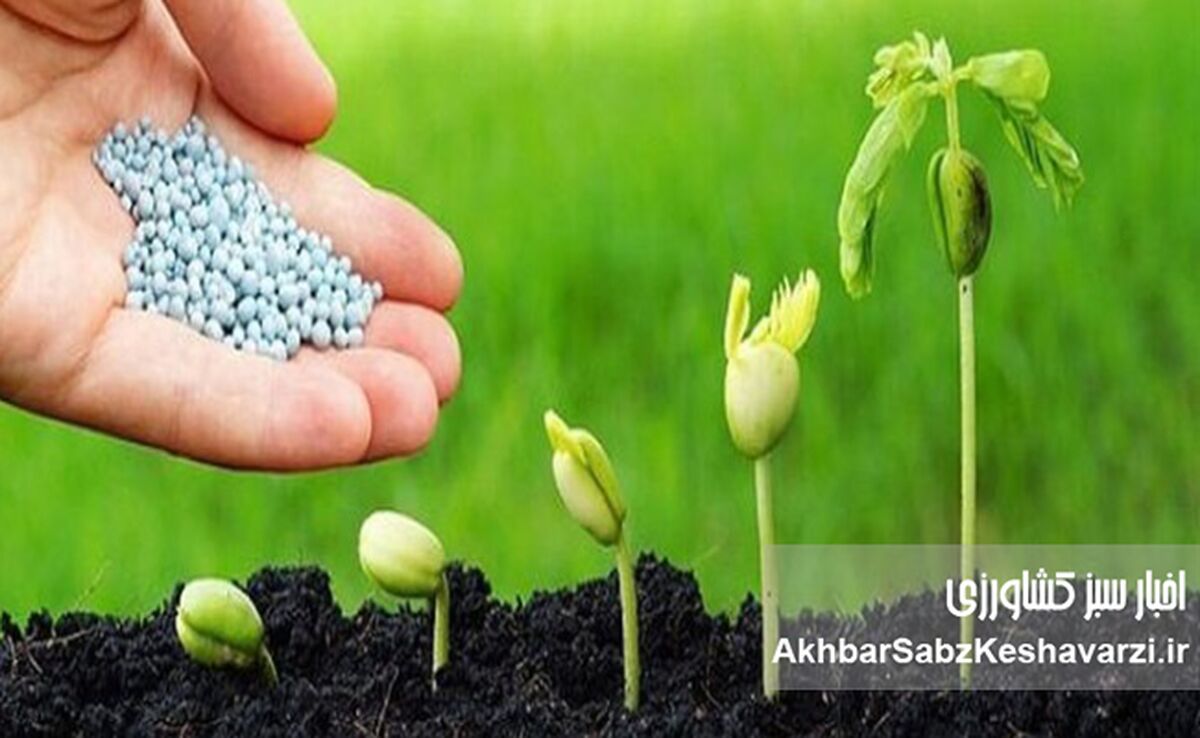 سه امضا برای نجات کشاورزی؟ یا سه مُهر دیگر بر کاغذهای تکراری