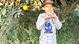 همه با هم به استقبال از روز جهانی خاک ۲۰۲۴ برویم+ ویدئو

