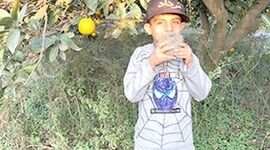 همه با هم به استقبال از روز جهانی خاک ۲۰۲۴ برویم+ ویدئو


