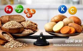 چرا سیب‌زمینی و غلات هرگز جای هم را در تغذیه سالم نمی‌گیرند؟