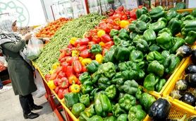 سرمای هوا و افزایش قیمت برخی صیفی‌جات

