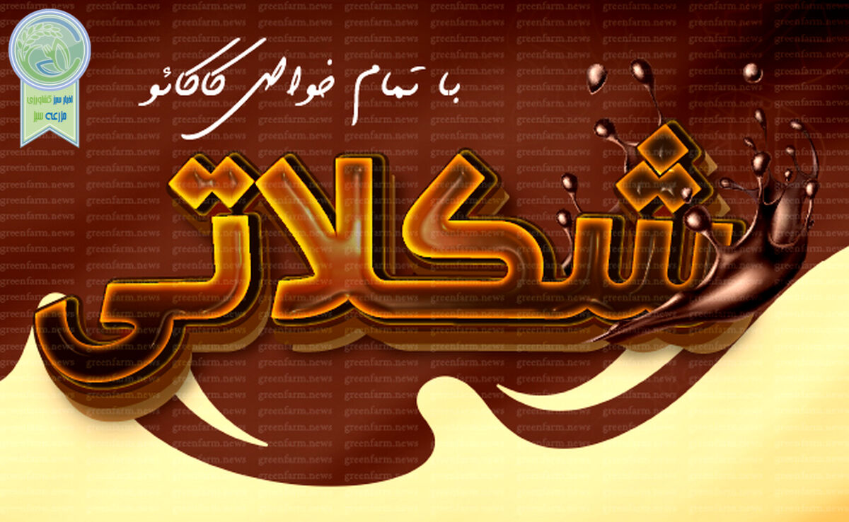 شکلاتی با تمام خواص کاکائو+ اینفوگرافی