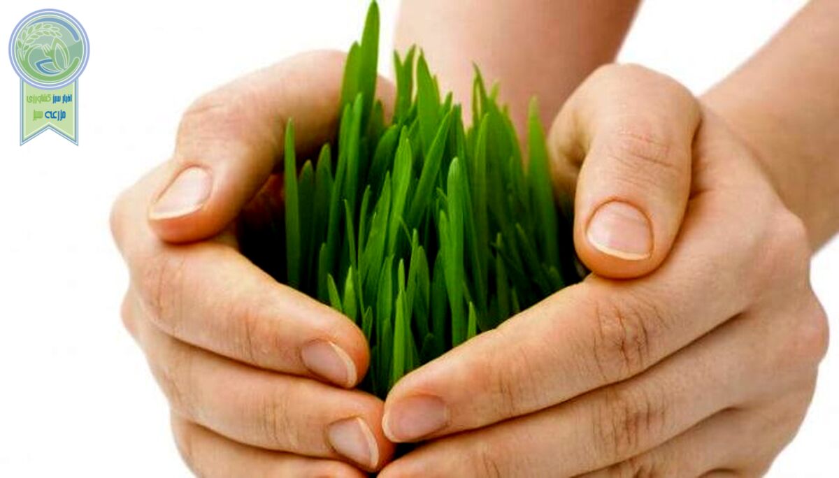 استمرار و عادت پذیری کشاورزان ضرورتی برای توسعه بیمه کشاورزی
