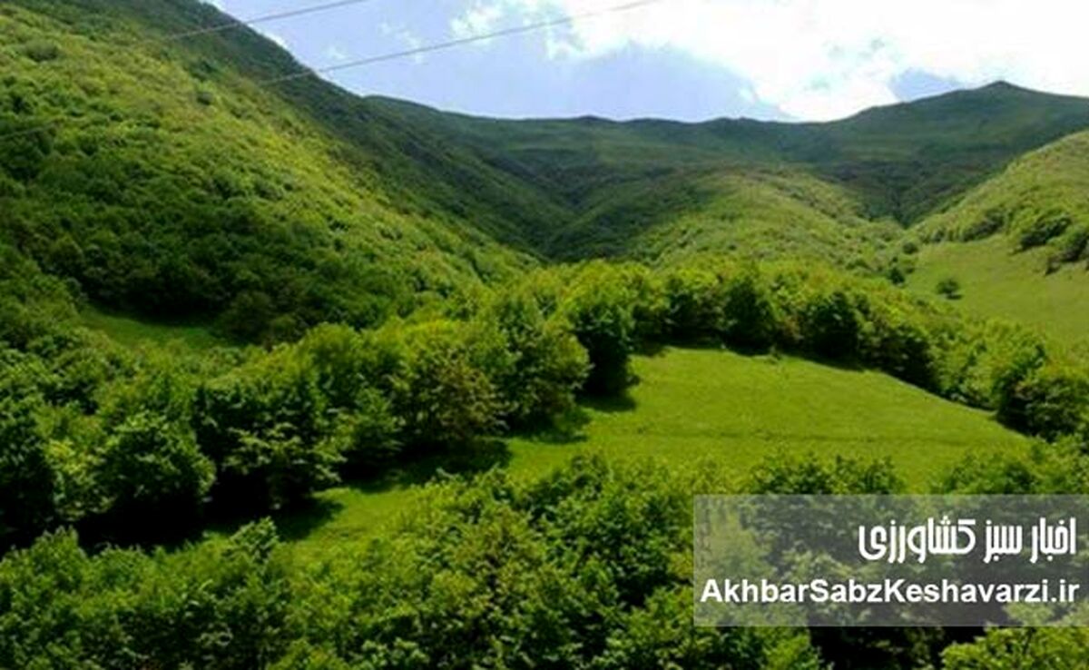 کشته شدن مجید زکریایی؛ فرمانده یگان حفاظت منابع طبیعی درگذشت