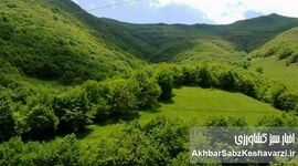 صدور بیش از ۲ هزار سند رسمی در نوشهر؛ گامی برای تقویت سرمایه‌گذاری و تولید