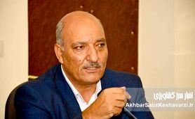 فاجعه در مزارع: چگونه قطعی برق کشاورزی، زندگی گندم‌کاران را می‌سوزاند؟+ ویدئو