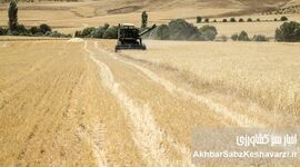 جشن آغاز سال زراعی؛ هیاهو در سایه بحران کشاورزی: دستاورد یا توهم؟