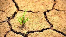 هر کسی آن دِرَوَد عاقبت کار که کِشت

