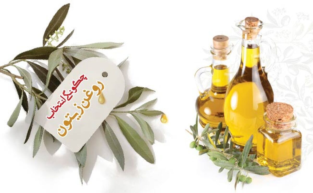 چگونگی انتخاب روغن زیتون

