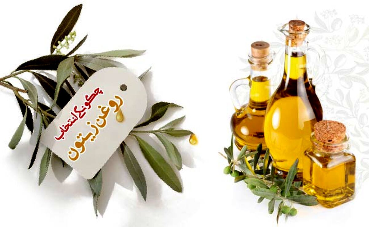 چگونگی انتخاب روغن زیتون

