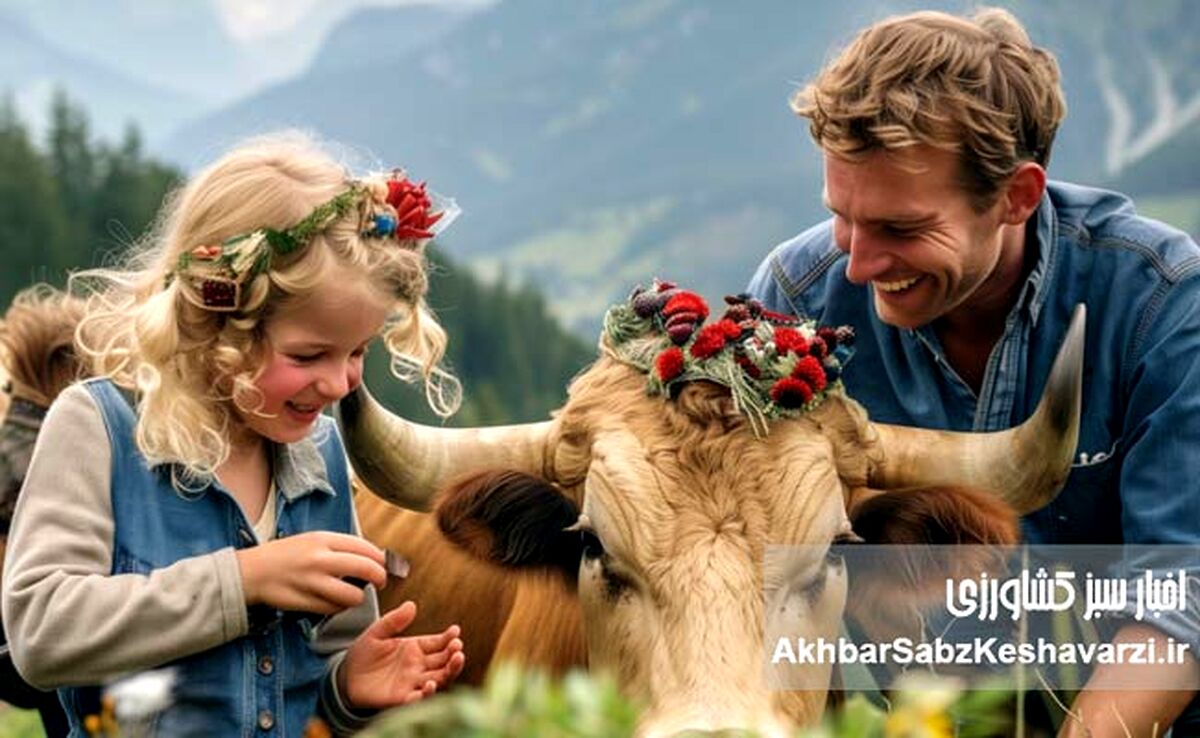 جشنواره‌ای به قدمت قرون: Alpabzug چیست؟+ ویدئو