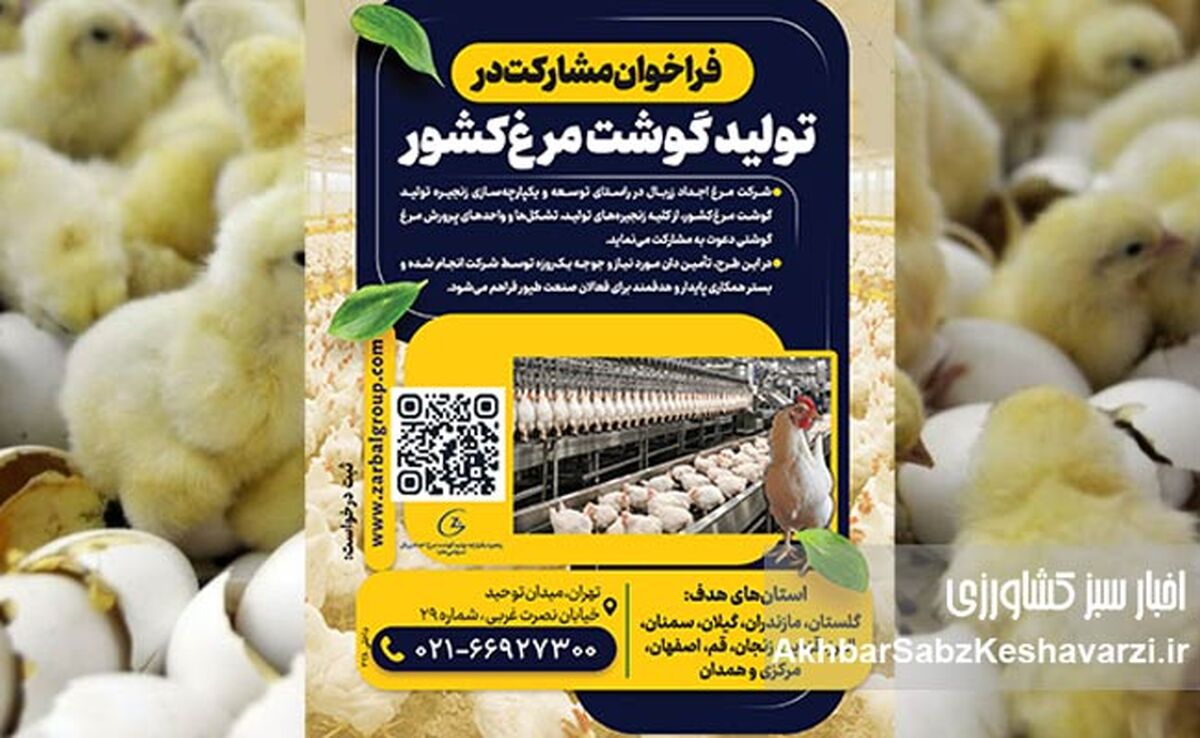 فراخوان مشارکت در توسعه زنجیره تولید گوشت مرغ کشور+جزئیات