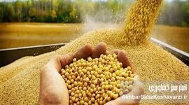 داد و فغان رسانه های حکومتی از فساد سیستماتیک در وزارت جهاد کشاورزی