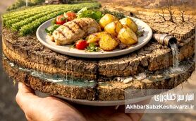 غذایی که می‌خوریم؛ ردپایش بر خاک، آب و هوا