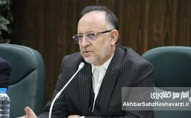 صنعت چوب و کاغذ مازندران در آستانه ورشکستگی / ضرورت اصلاح قانون «تنفس جنگل»