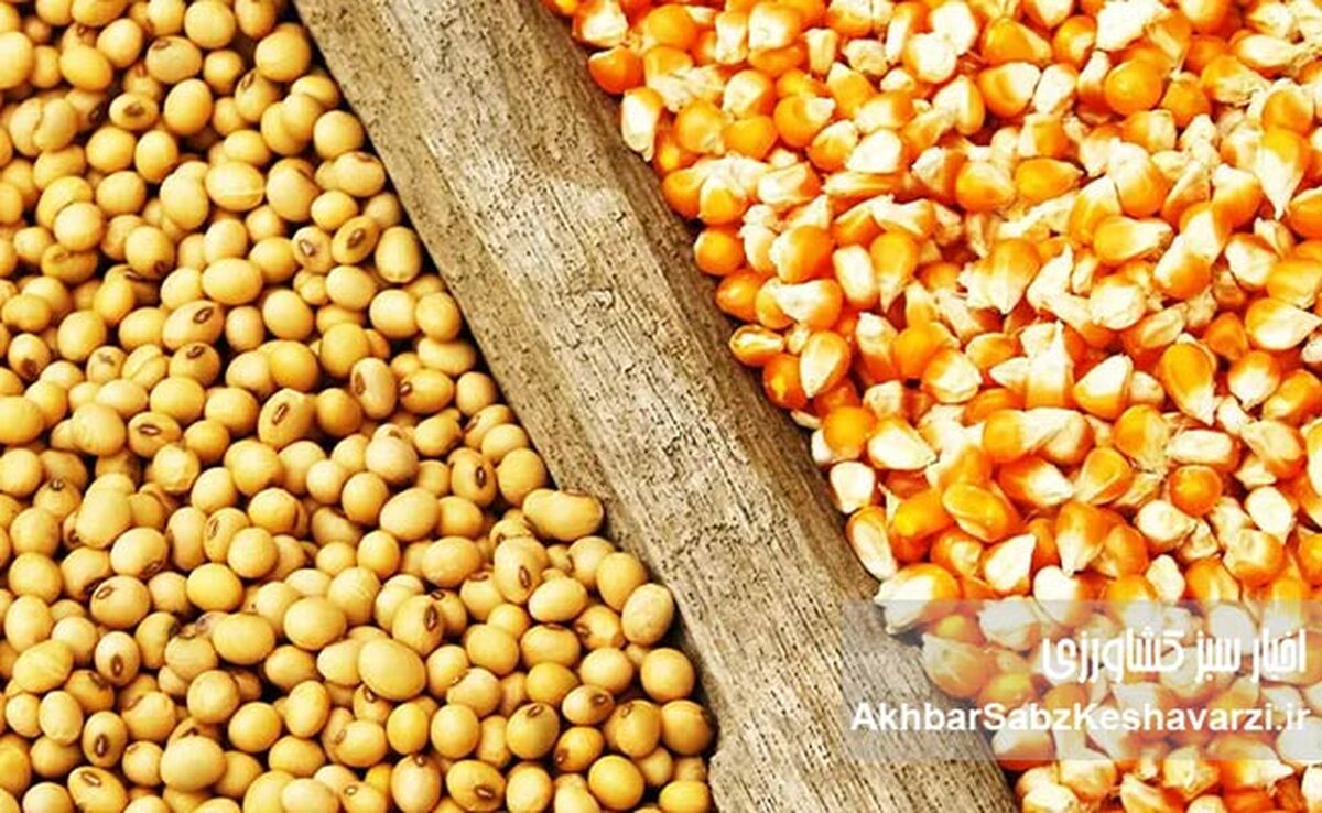 بازار نهاده‌ها در پیچ بزرگ؛ شفافیت یا شکل تازه‌ای از رانت؟