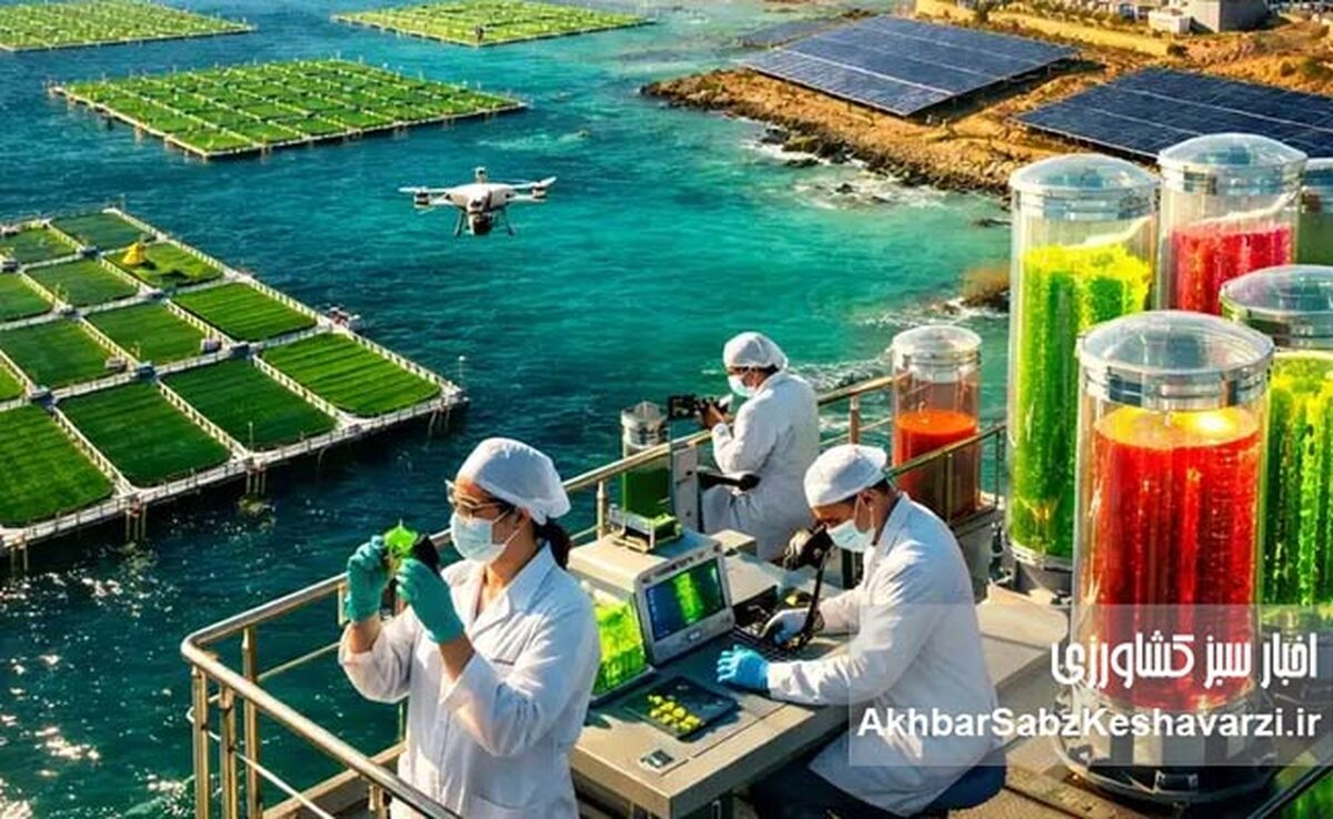 مکران؛ آزمایشگاه غول‌آسای بیوتکنولوژی یا فقط یک ساحل صیادی؟