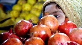 یلدا با طعم فقر

