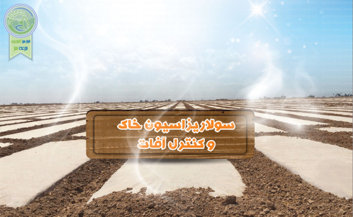 سولاریزاسیون خاک و کنترل آفات

