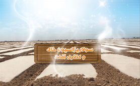 سولاریزاسیون خاک و کنترل آفات

