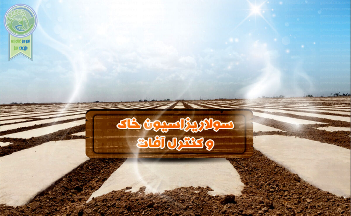 سولاریزاسیون خاک و کنترل آفات


