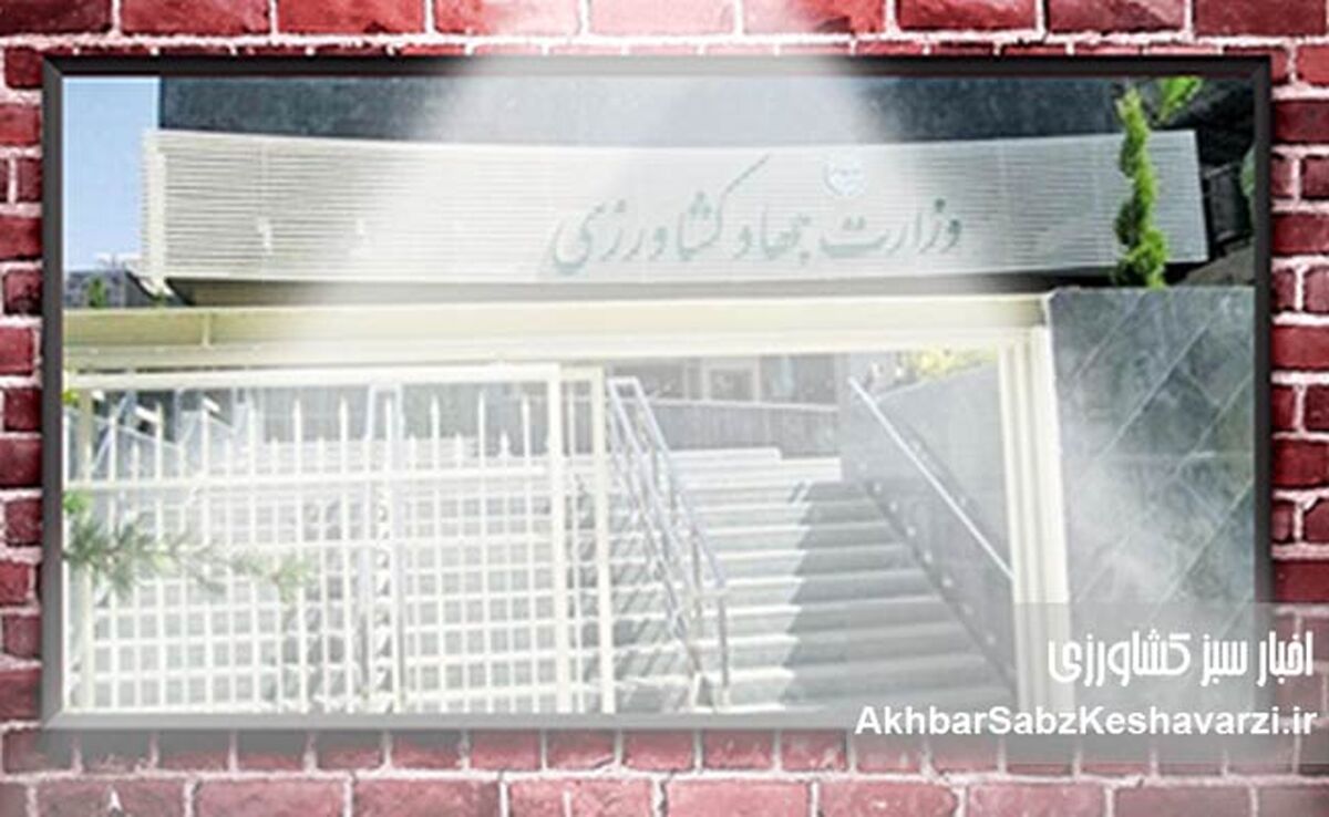 فساد میلیارد دلاری در سایه سفرهای خارجی و تبانی سازمان‌یافته