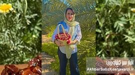 بانوی بوشهری تولیدکننده خرما؛ روایت عشق به کشاورزی و چالش‌های مسیر تولید
