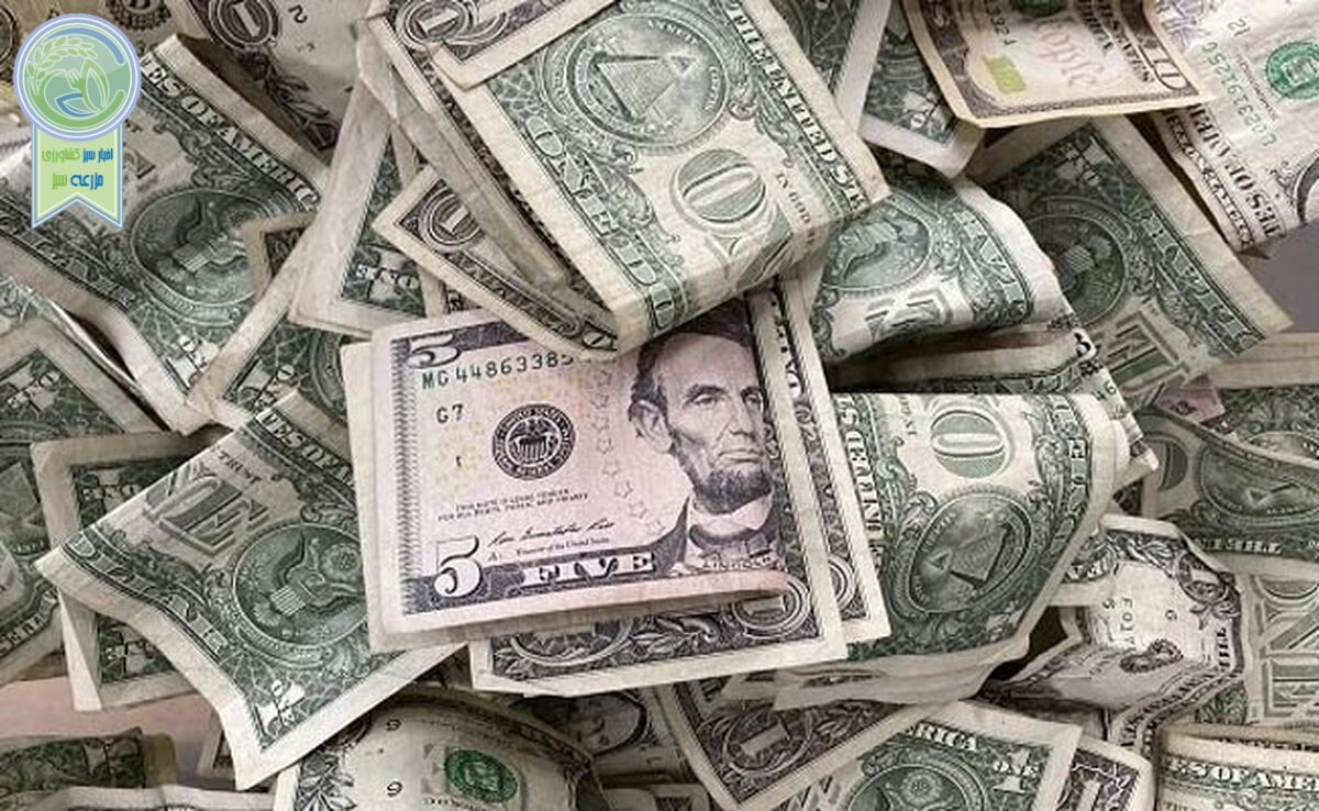 قیمت دلار و یورو امروز شنبه یک اردیبهشت ۱۴۰۳+ جدول

