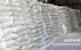 کشف انبار احتکار ۱۲۰ تن برنج وارداتی در جنوب تهران/ جریمه ۷ میلیارد تومانی برای افزایش قیمت
