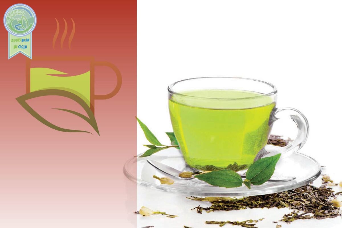چای سبز  را به ‌اندازه بخورید

