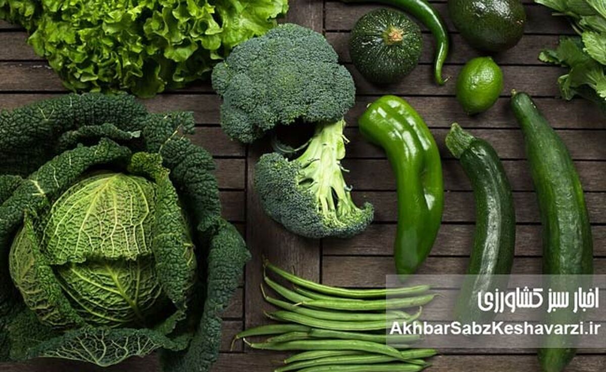 سبزیجات تیره رنگ و خواص چشمگیر آنها