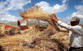 رونمایی از سامانه کشت قراردادی تا پایان سال

