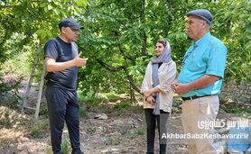 فراتر از مزرعه: نقش شگفت‌انگیز زنان در کشاورزی و باغداری ایران+ ویدئو