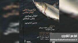 رونمایی از کتاب عکس «سایه‌های شادگان»؛ روایت تالابی در آستانه تغییر
