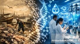 از زباله‌دانی ساحل تا آزمایشگاه‌های لوکس؛ آیا ایران «طلای کثیف» شیلات را دور می‌ریزد؟