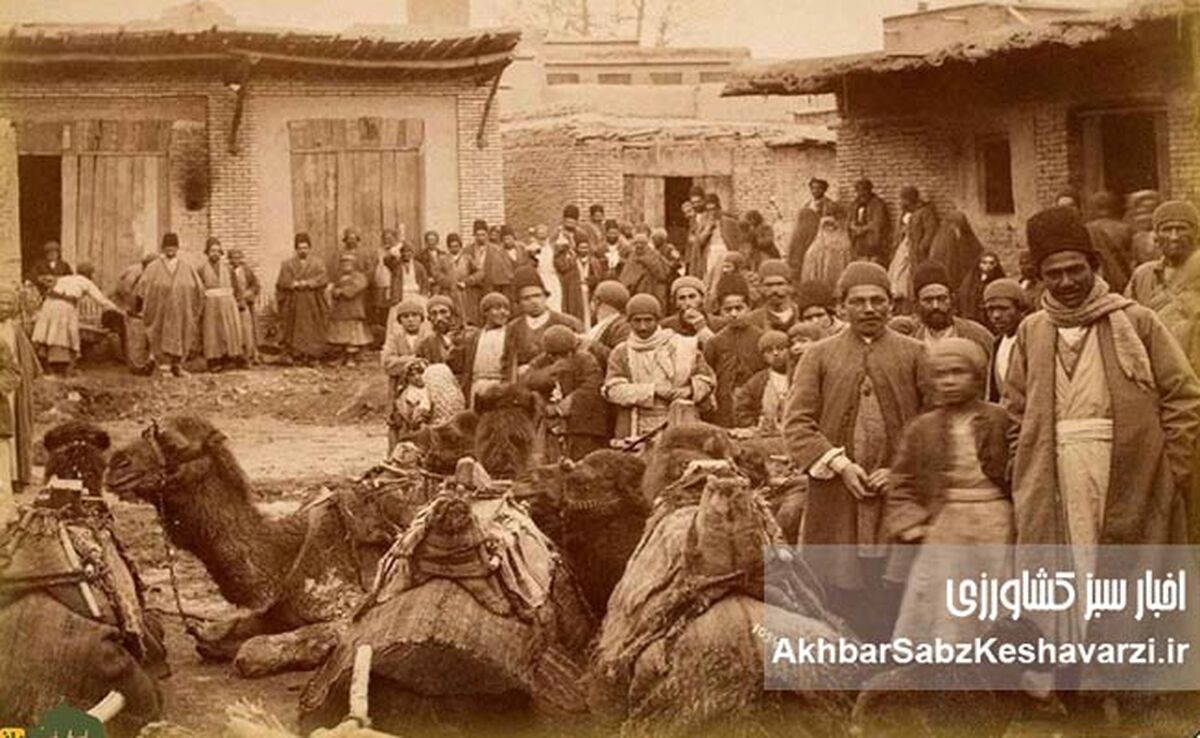 ایران در اشغال متفقین، مسئله غذا در کابینه سهیلی وسقوط قوام با بحران نان