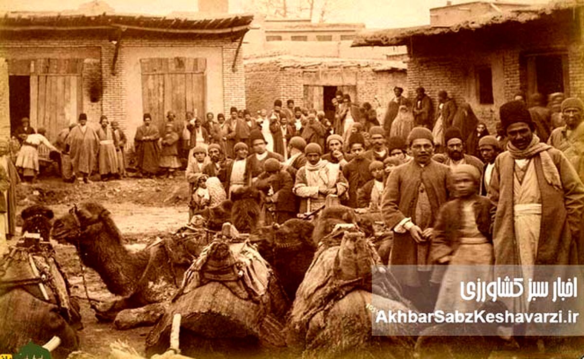 ایران در اشغال متفقین، مسئله غذا در کابینه سهیلی وسقوط قوام با بحران نان