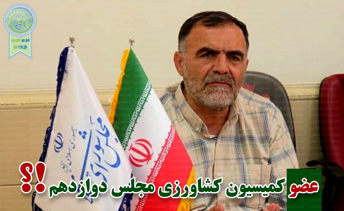 علی‌اکبر علیزاده راهی مجلس دوازدهم شد

