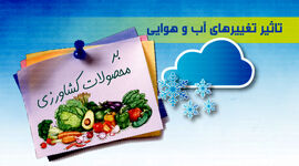 تاثیر تغییرهای آب و هوایی بر محصولات کشاورزی+ اینفوگرافی 

