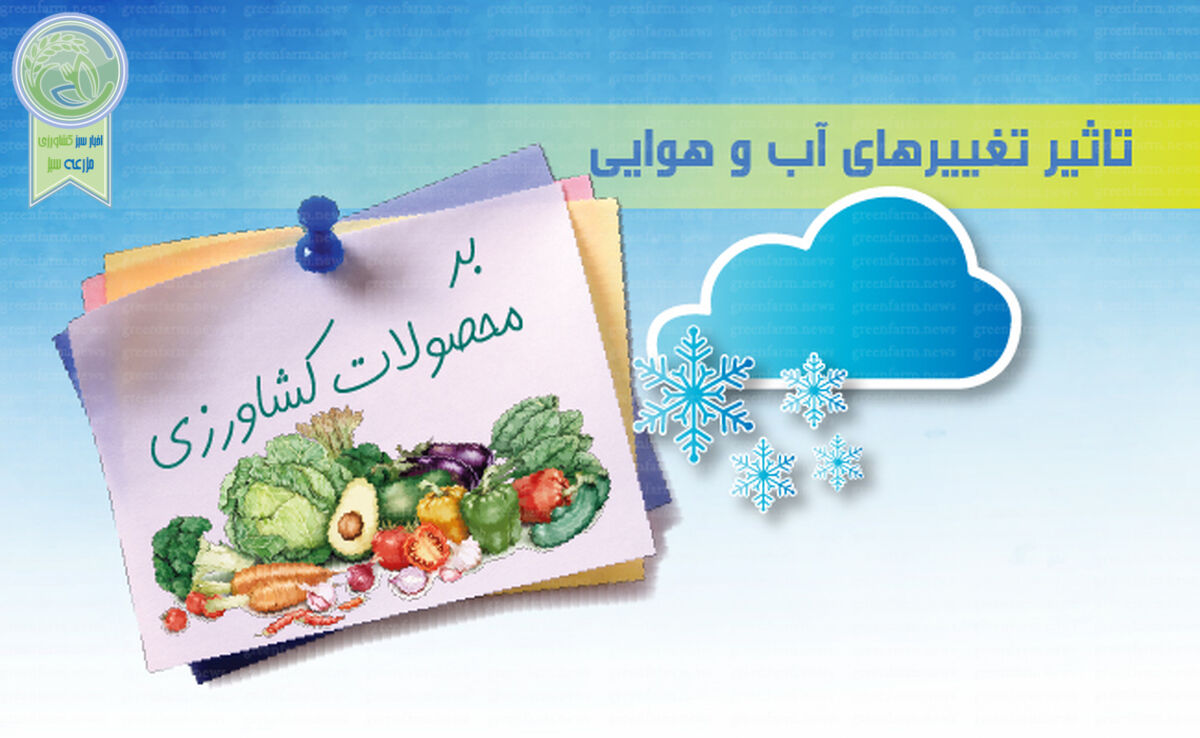 تاثیر تغییرهای آب و هوایی بر محصولات کشاورزی+ اینفوگرافی 

