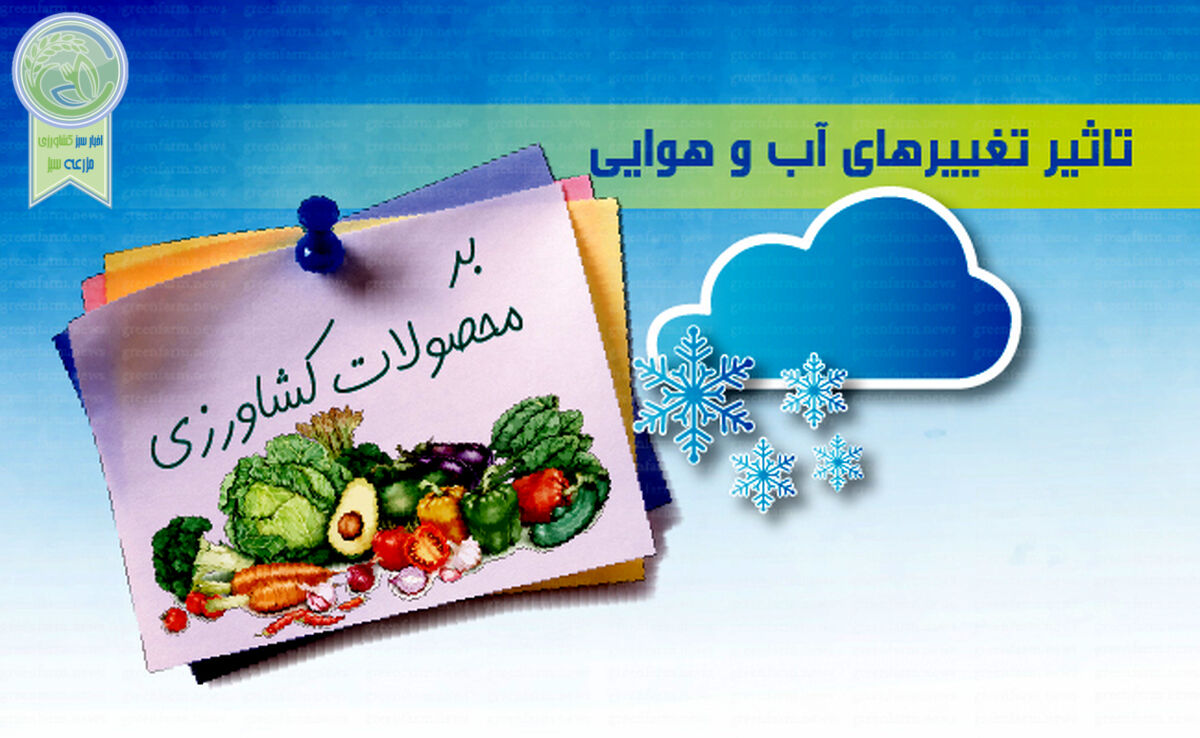 تاثیر تغییرهای آب و هوایی بر محصولات کشاورزی+ اینفوگرافی 

