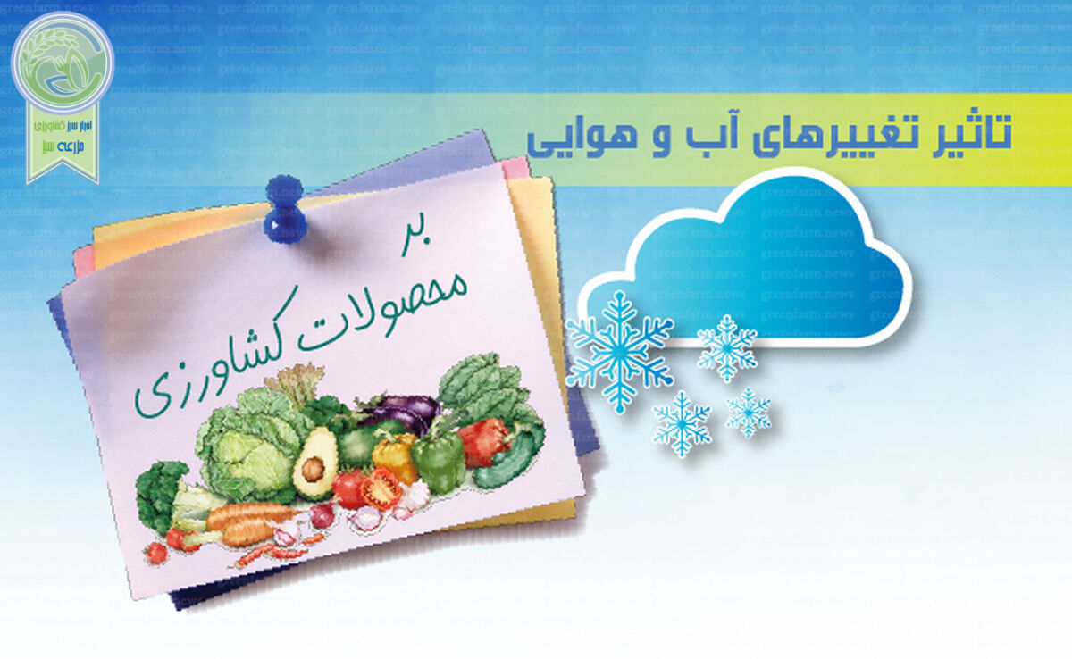 تاثیر تغییرهای آب و هوایی بر محصولات کشاورزی+ اینفوگرافی 

