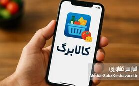 شارژ کالابرگ دهک‌های ۴ تا ۷ آغاز شد | امکان خرید و تحویل درب منزل