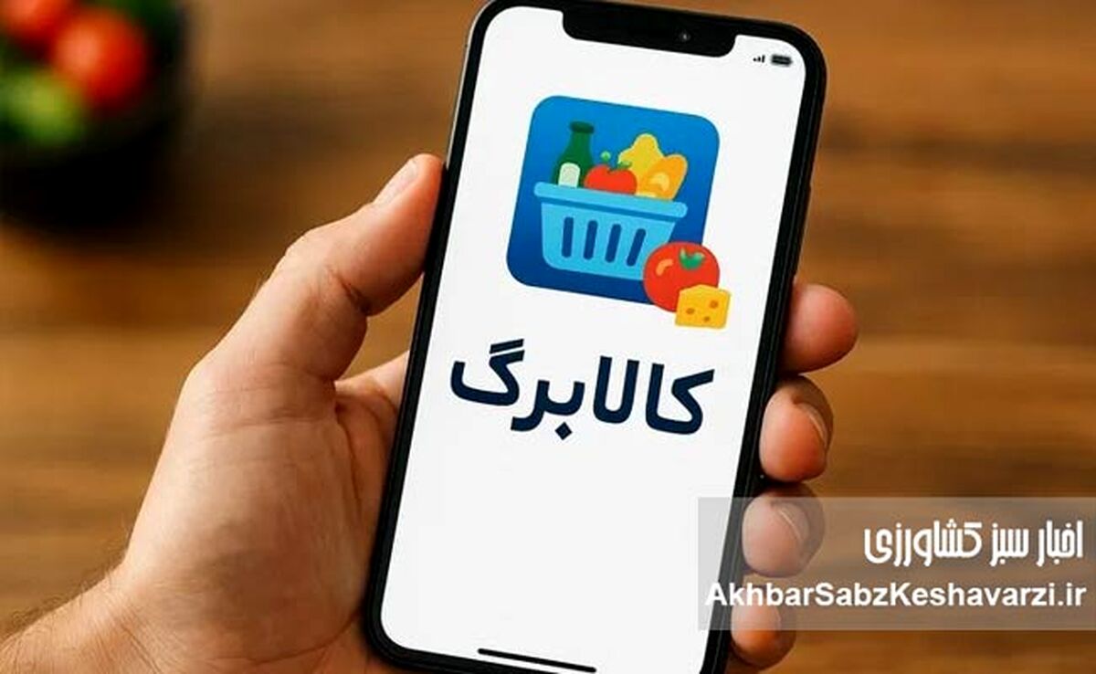 واریز یک میلیون تومان قطعی شد؛ چه کسانی همین امروز مشمول می‌شوند؟

