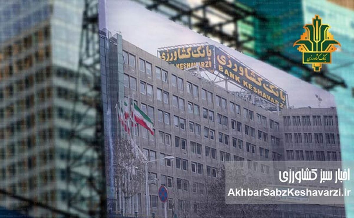 استقبال ۱۷۷ همتی از اعتبار دیجیتال «نوی‌پو»؛ سیگنال جدید تأمین مالی تولید
